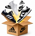 Paquete Emprendedor de 10 Pares de Tenis | Samba, Dunk y Air Force 1 Surtidos